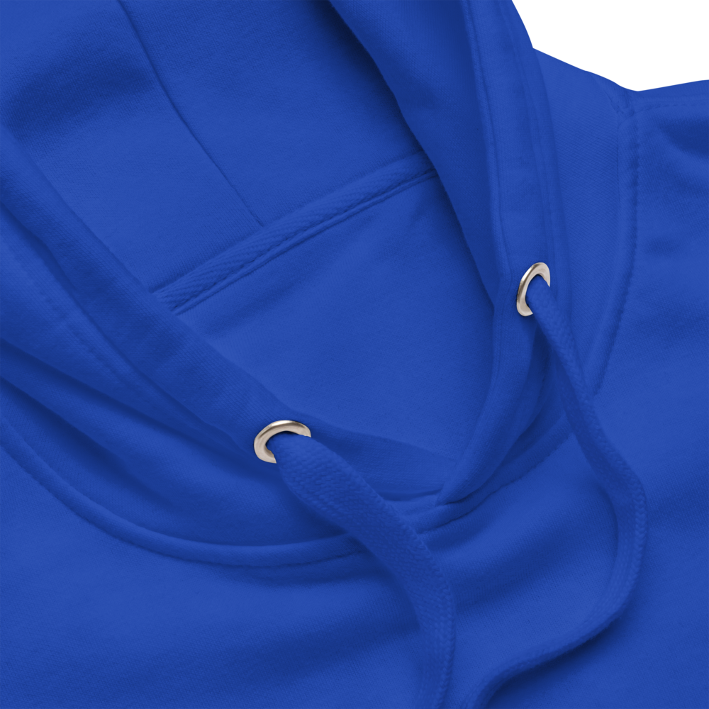 Blue Unisex Hoodie